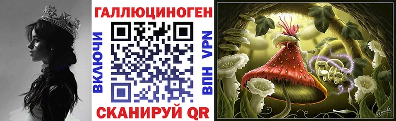 Галлюциногенные грибы Cubensis Богучар
