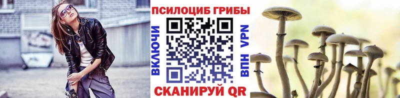 kraken как войти  что такое   Богучар  Галлюциногенные грибы прущие грибы 